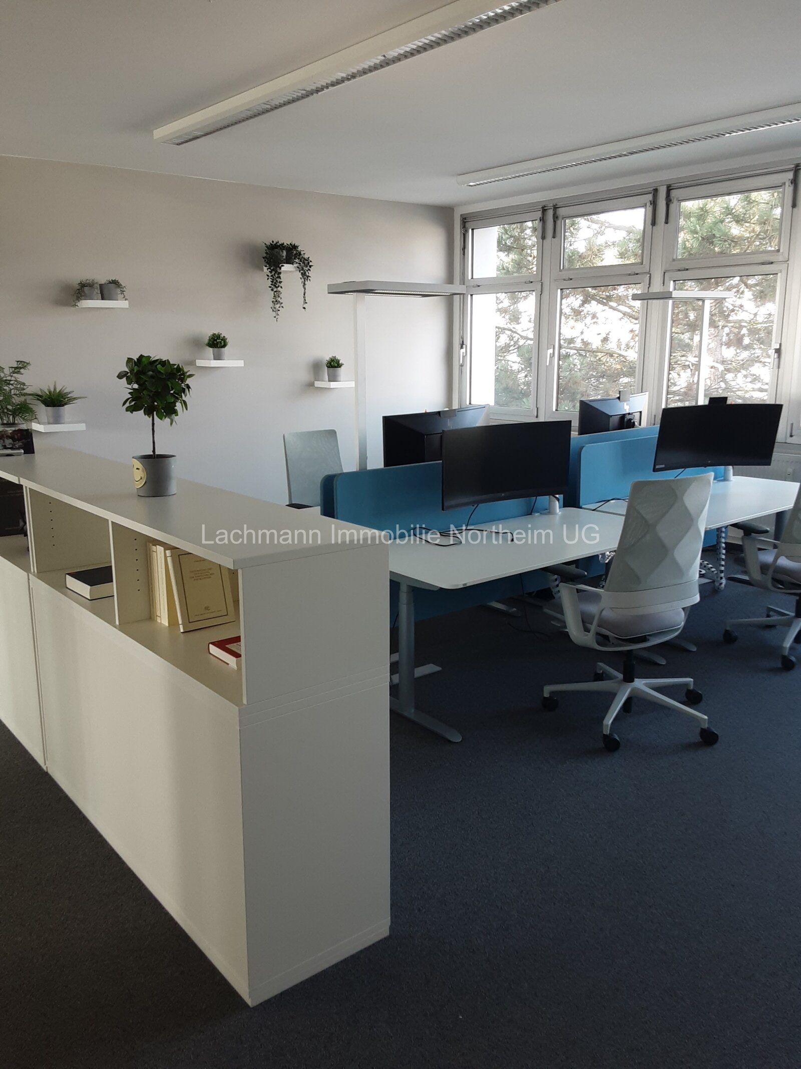 Repräsentative Büroetage - voll klimatisiert