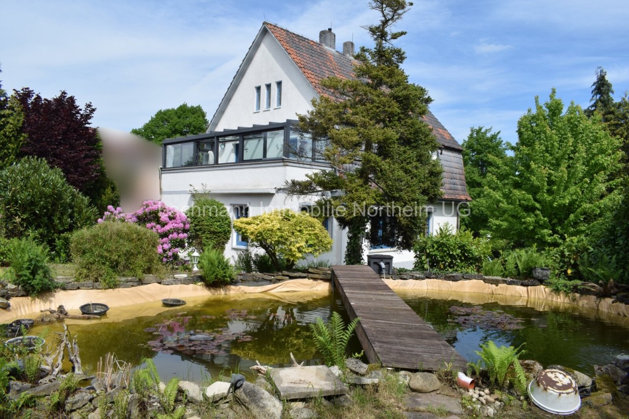 Gartenteich Gartenteich
