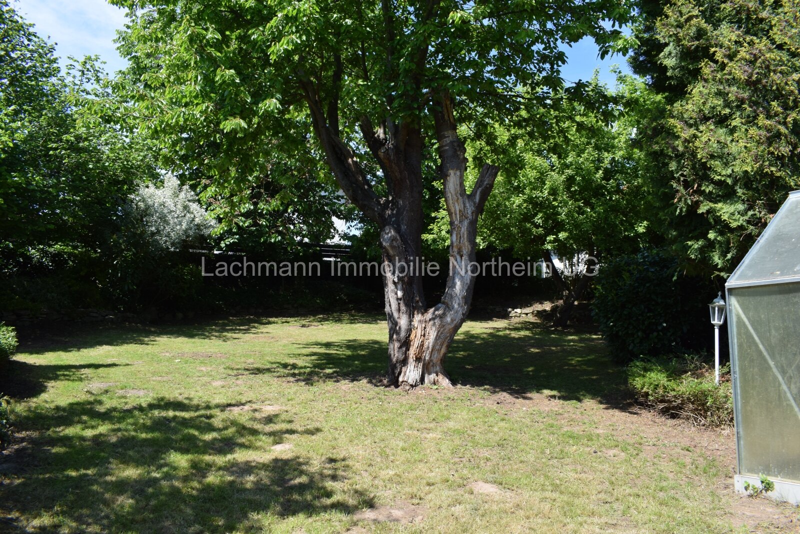 Garten hinterer Teil Garten hinterer Teil