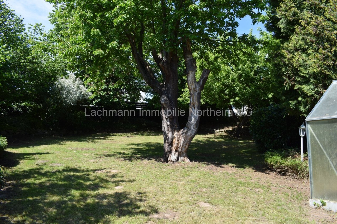 Garten hinterer Teil Garten hinterer Teil